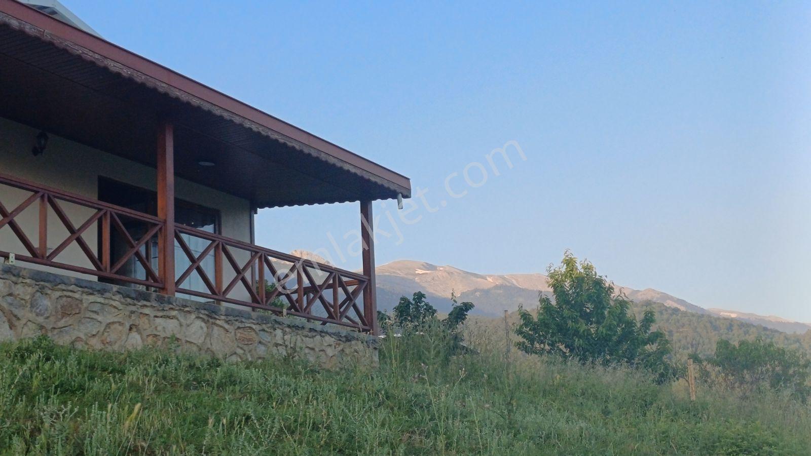 Acil! Bursa'da Gizli Cennet 4054m² Arazi İçinde Manzaralı Taş Ev — fotoğraf 5