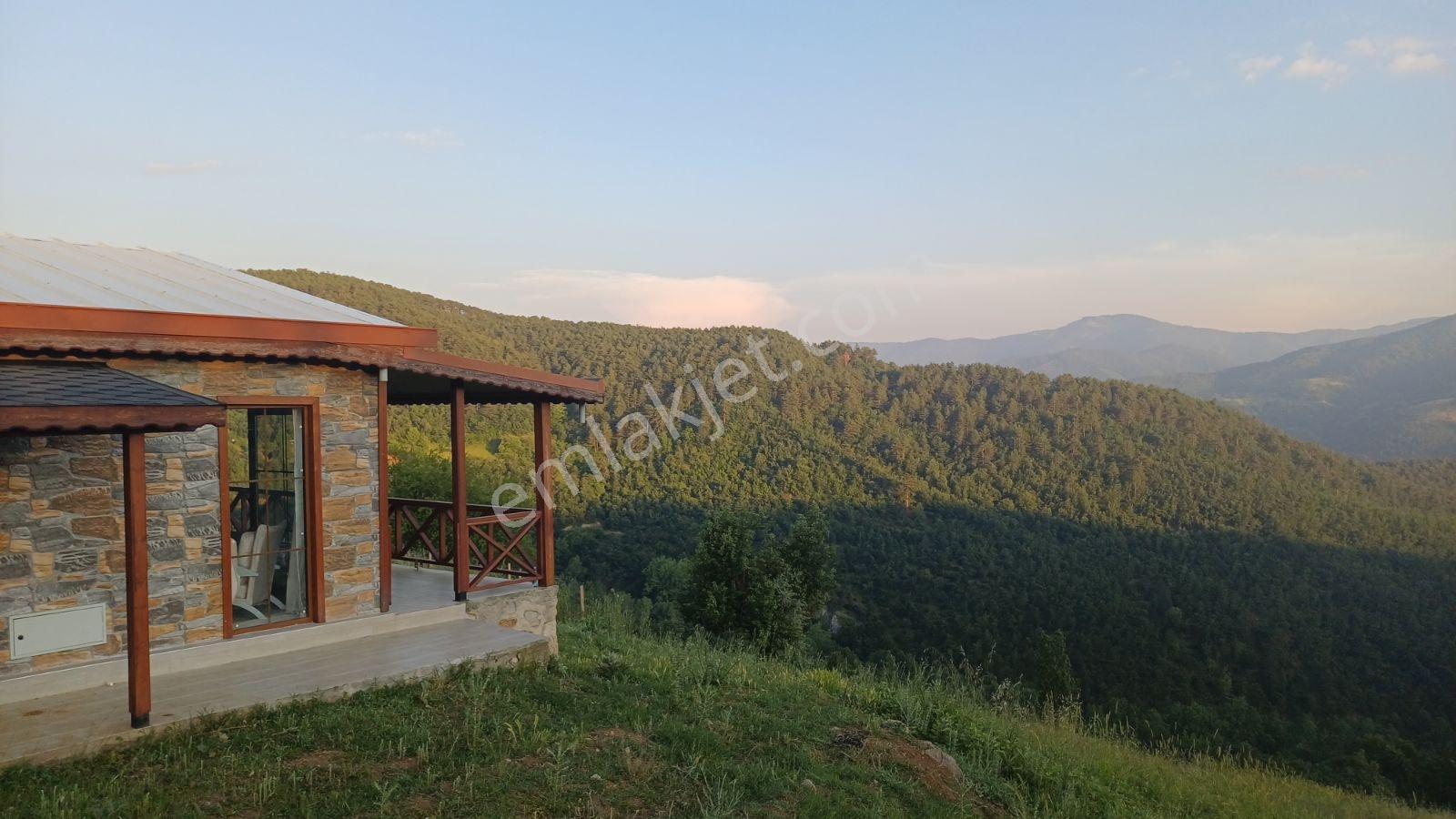Acil! Bursa'da Gizli Cennet 4054m² Arazi İçinde Manzaralı Taş Ev — fotoğraf 10