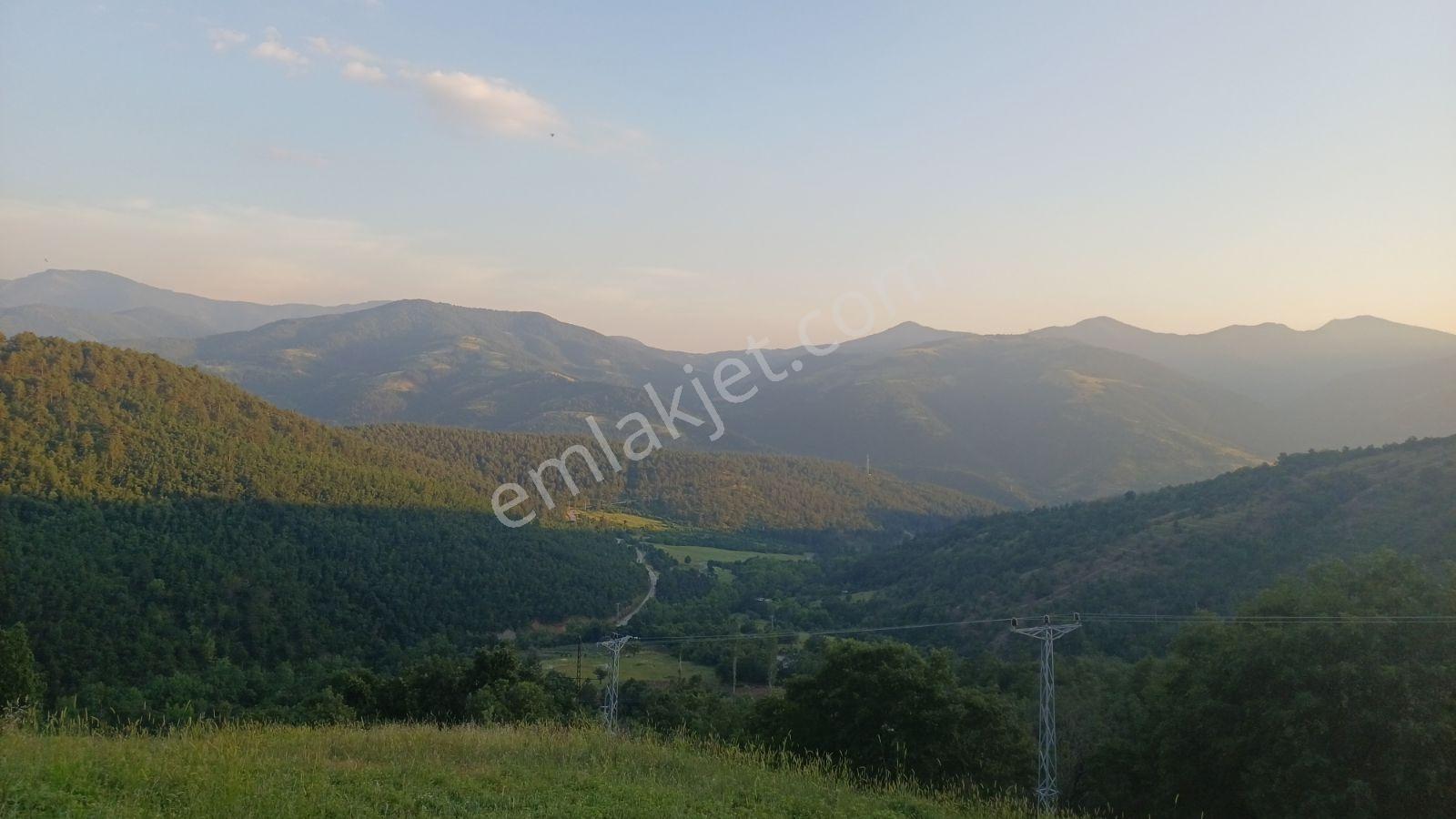 Acil! Bursa'da Gizli Cennet 4054m² Arazi İçinde Manzaralı Taş Ev — fotoğraf 11