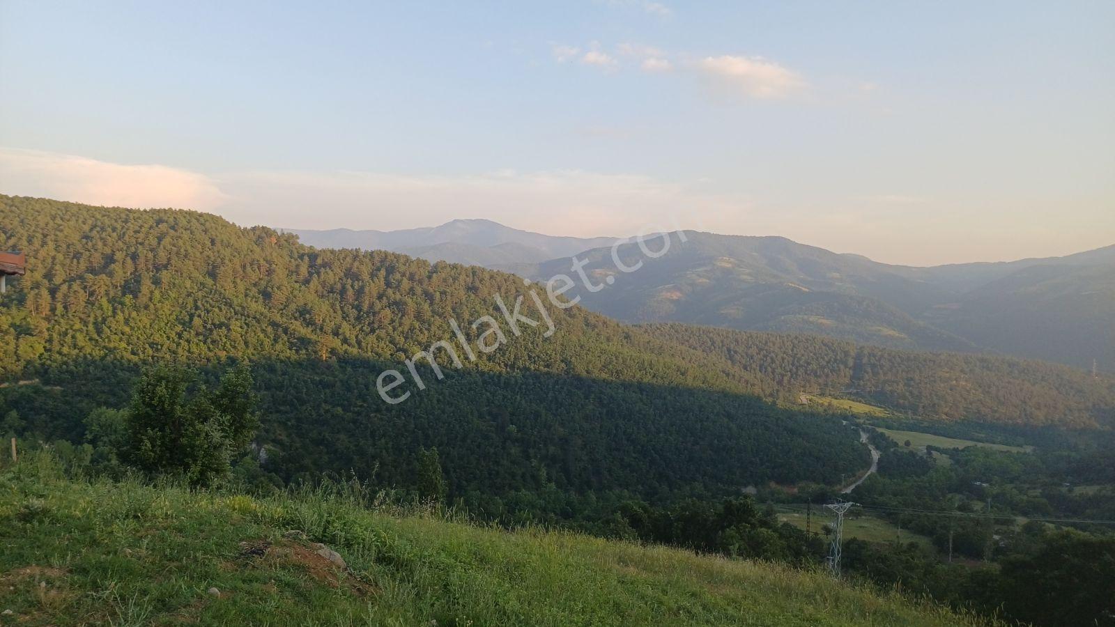 Acil! Bursa'da Gizli Cennet 4054m² Arazi İçinde Manzaralı Taş Ev — fotoğraf 12