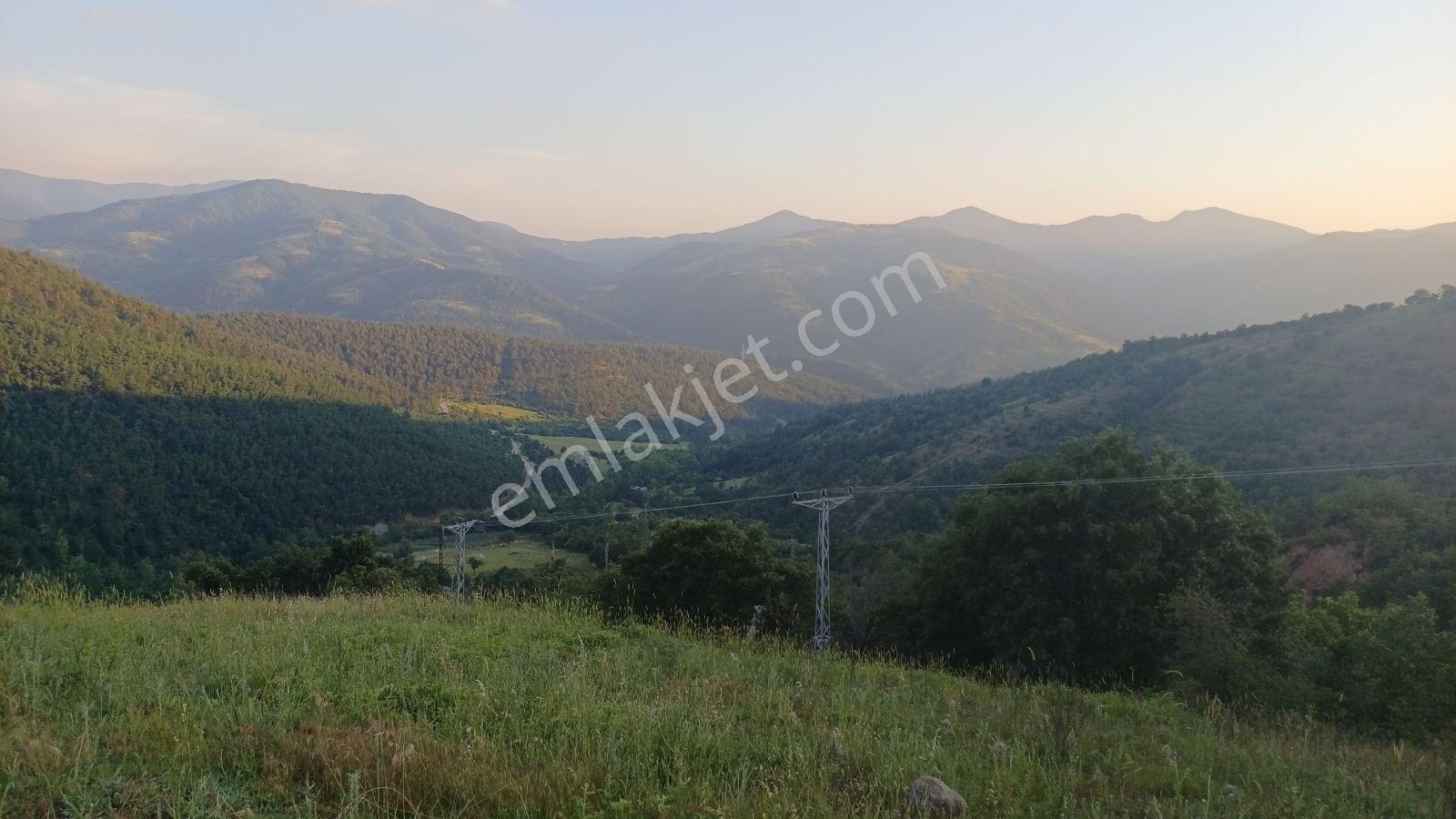 Acil! Bursa'da Gizli Cennet 4054m² Arazi İçinde Manzaralı Taş Ev — fotoğraf 13