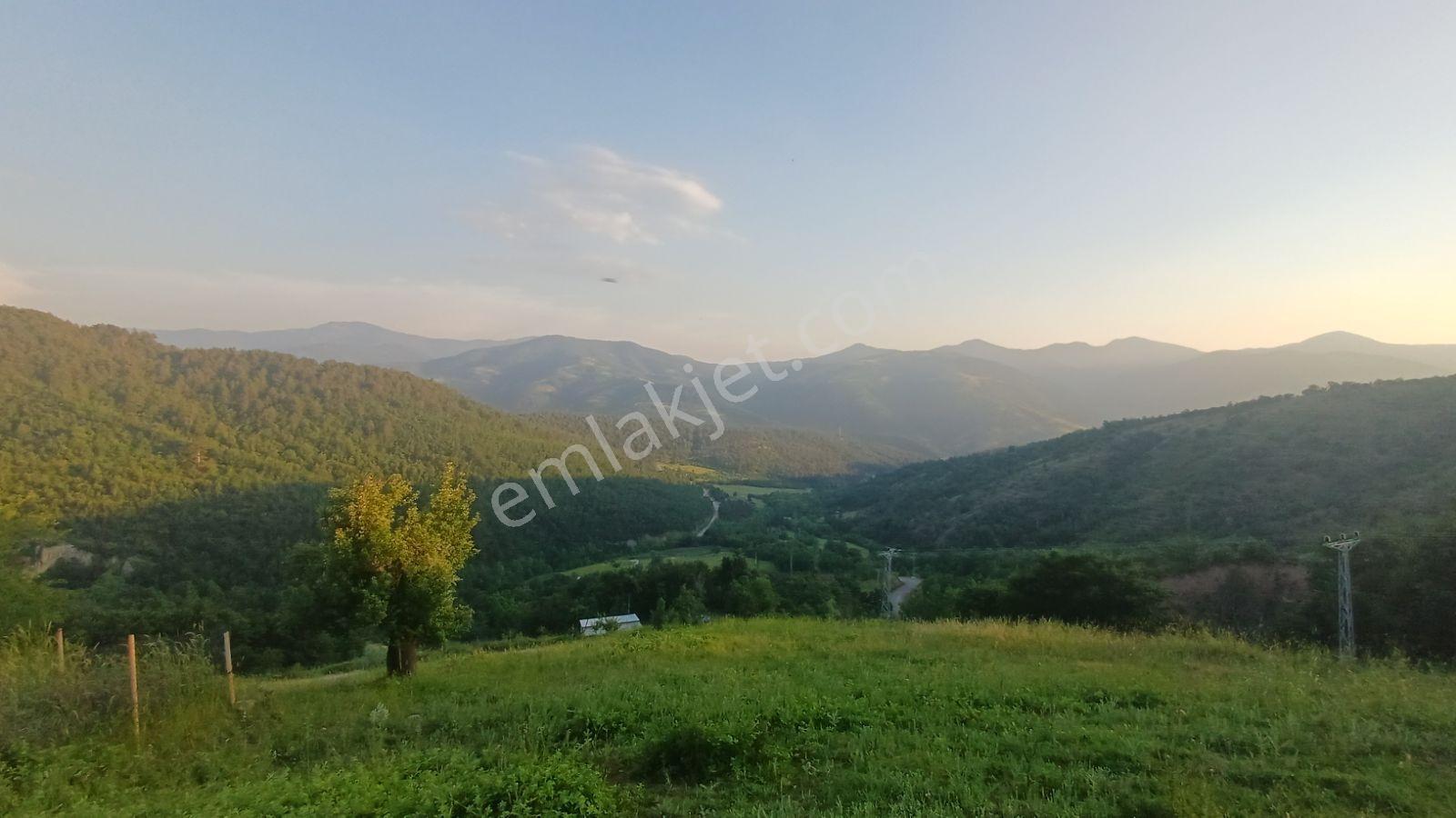 Acil! Bursa'da Gizli Cennet 4054m² Arazi İçinde Manzaralı Taş Ev — fotoğraf 17