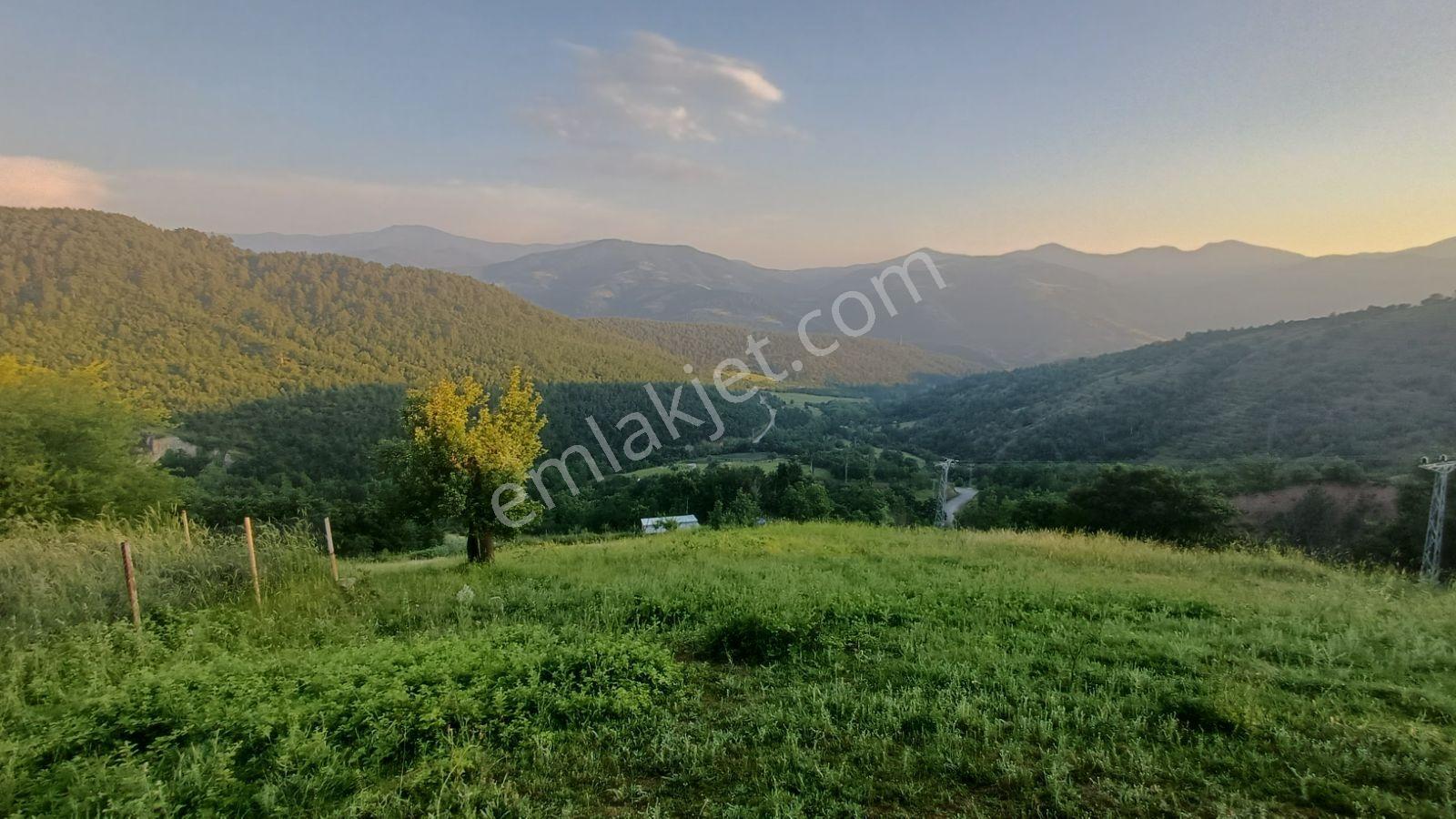 Acil! Bursa'da Gizli Cennet 4054m² Arazi İçinde Manzaralı Taş Ev — fotoğraf 18