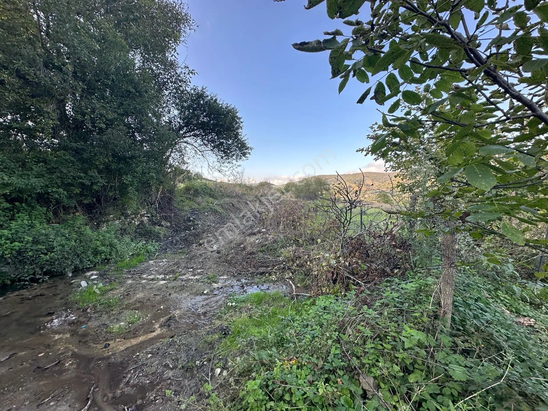 Kavak Çakallıda Köy Yerleşik Alan İçinde 1224 M2 Tarla — fotoğraf 6
