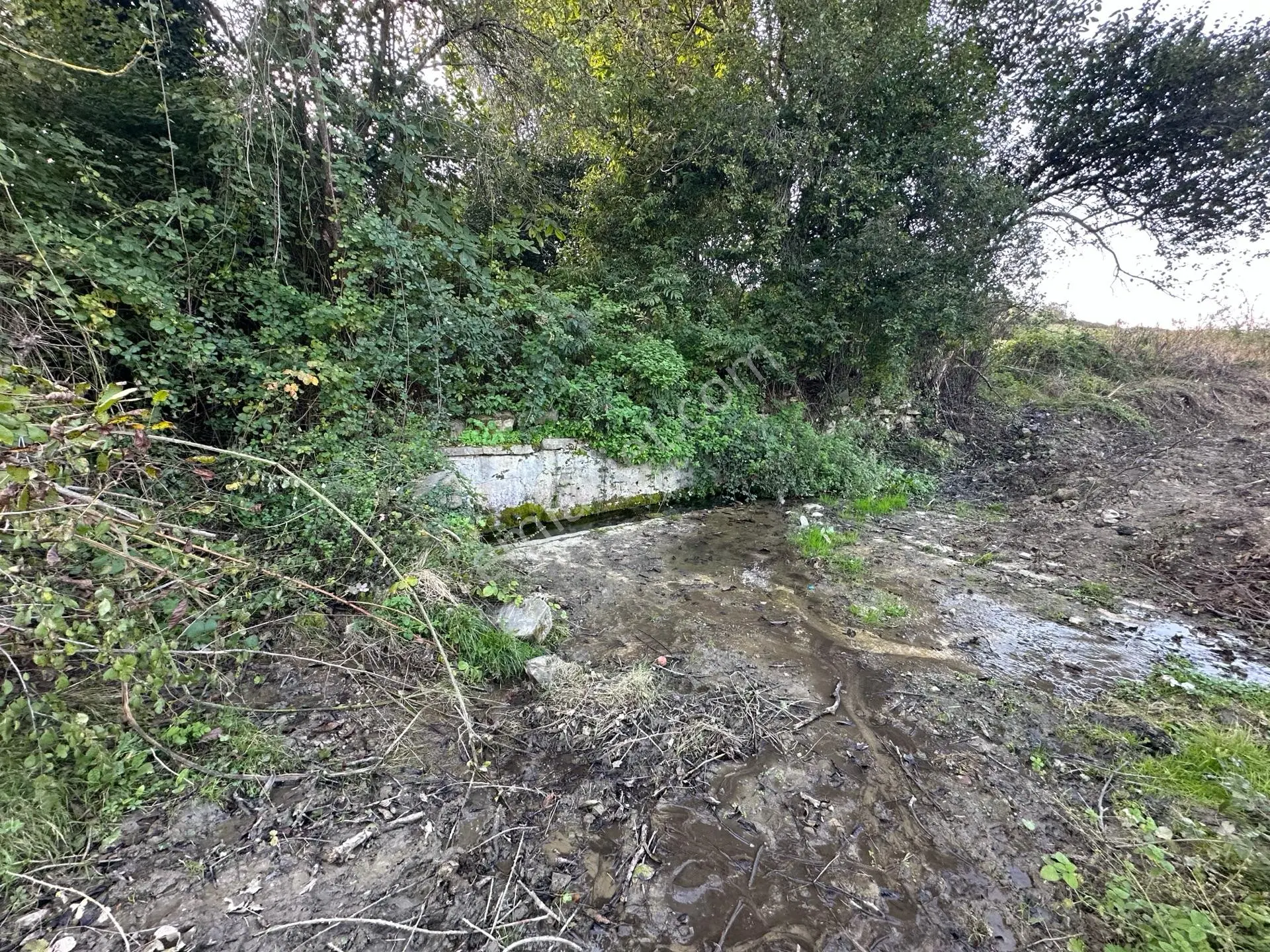 Kavak Çakallıda Köy Yerleşik Alan İçinde 1224 M2 Tarla — fotoğraf 7