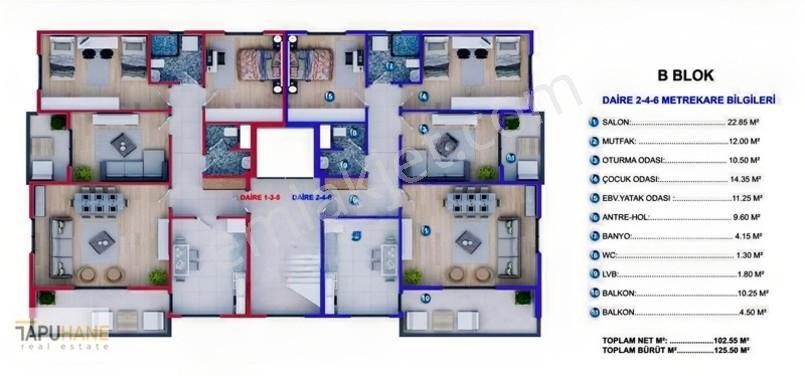 Tapuhane'den Yeni Proje — fotoğraf 10