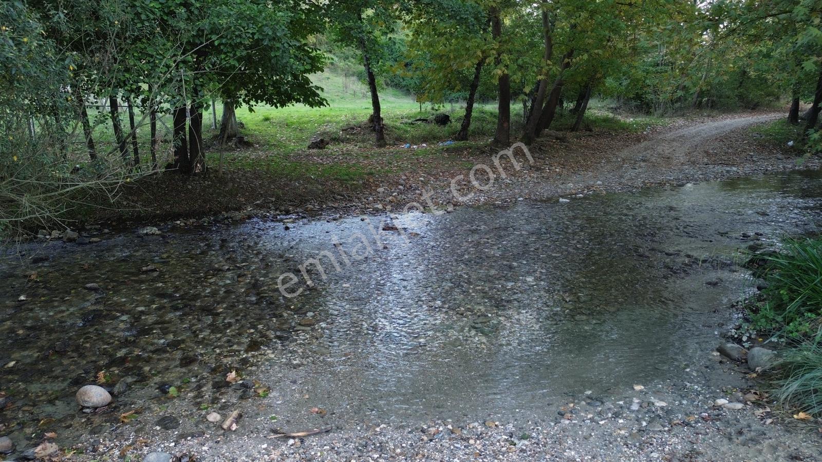Oylat Yolunda Dere Boyu+tel Örgülü+ahşap Kulübeli Tarla Hobilik — fotoğraf 5