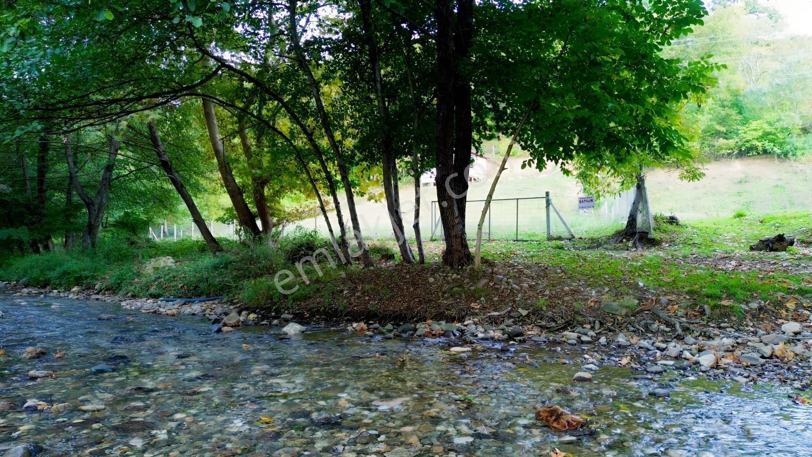 Oylat Yolunda Dere Boyu+tel Örgülü+ahşap Kulübeli Tarla Hobilik — fotoğraf 9