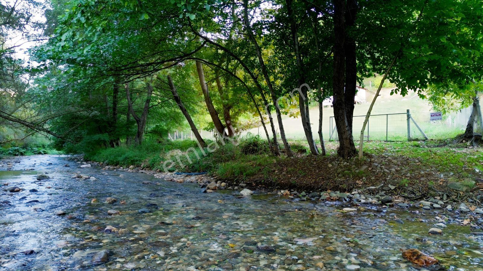Oylat Yolunda Dere Boyu+tel Örgülü+ahşap Kulübeli Tarla Hobilik — fotoğraf 11