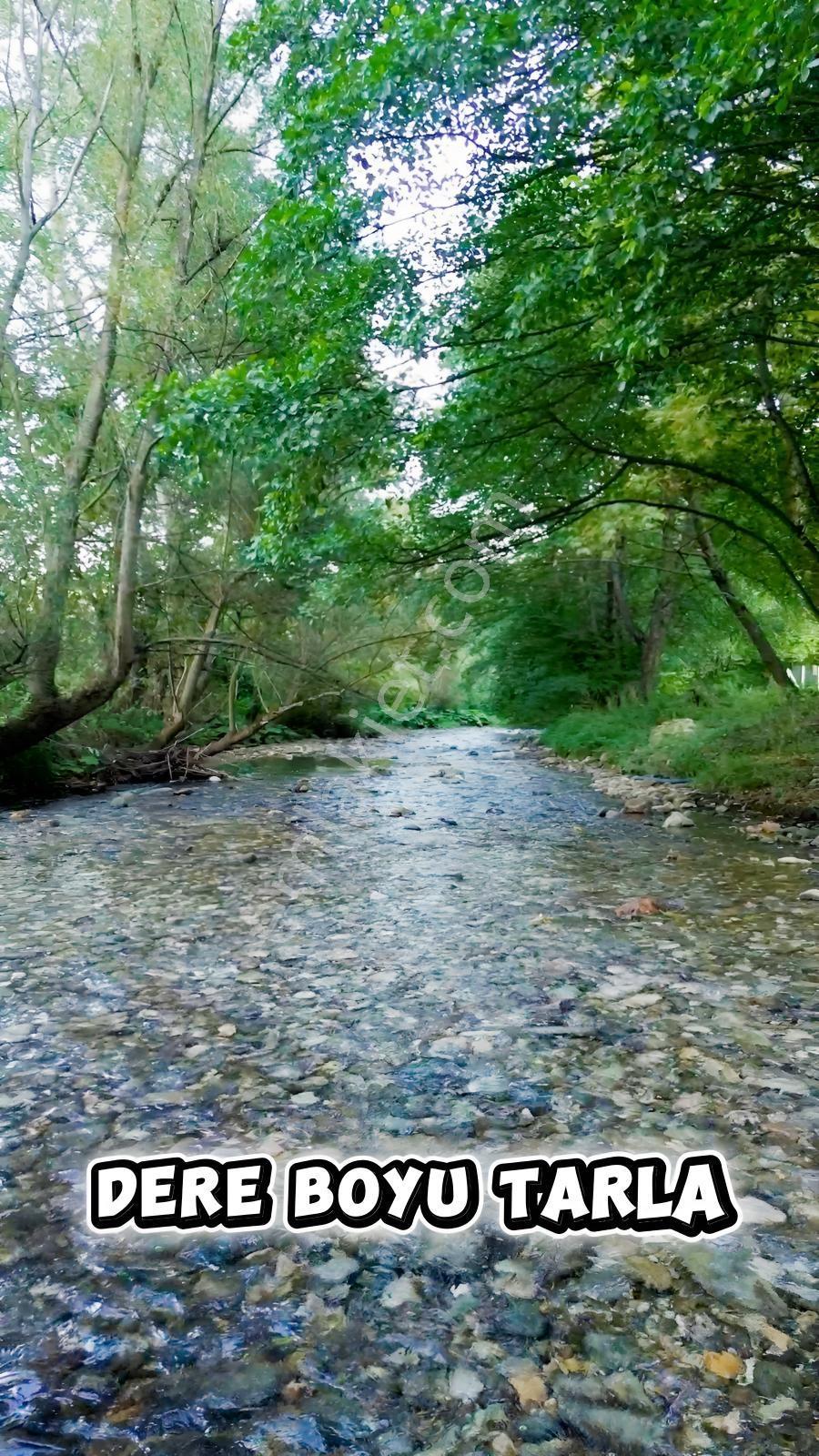 Oylat Yolunda Dere Boyu+tel Örgülü+ahşap Kulübeli Tarla Hobilik — fotoğraf 14