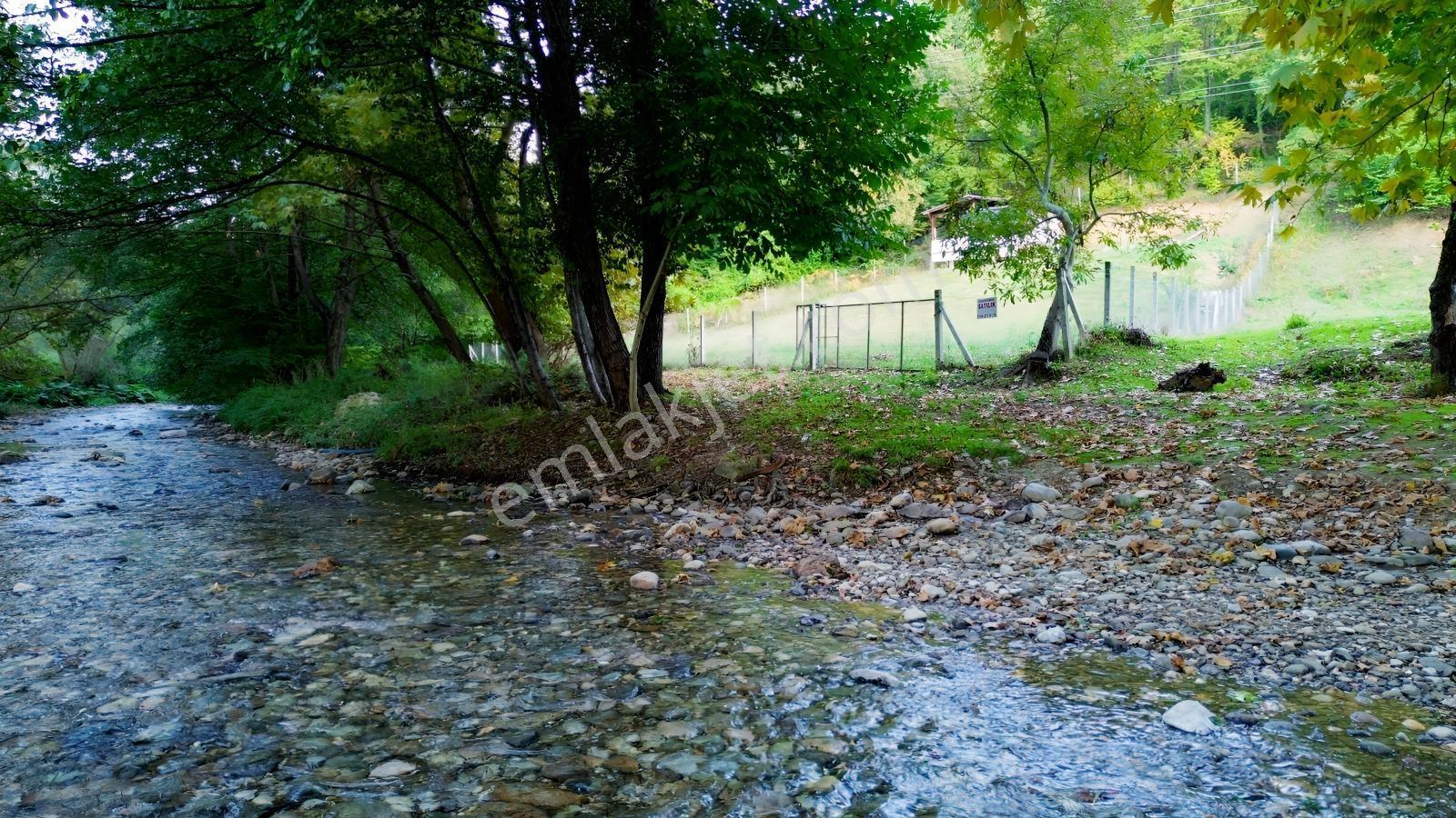 Oylat Yolunda Dere Boyu+tel Örgülü+ahşap Kulübeli Tarla Hobilik — fotoğraf 25