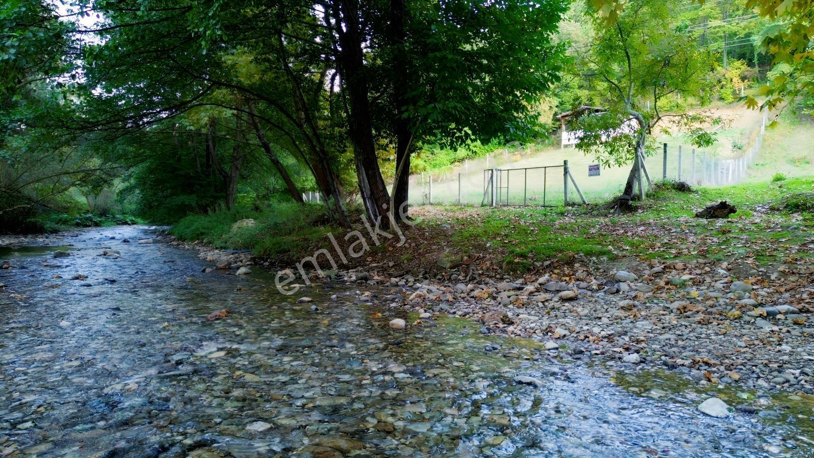 Oylat Yolunda Dere Boyu+tel Örgülü+ahşap Kulübeli Tarla Hobilik — fotoğraf 26