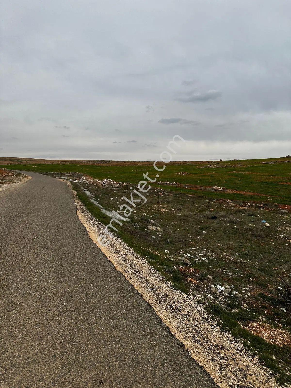 Şahinbey Geneyikte Asfalta Sıfır Arazi