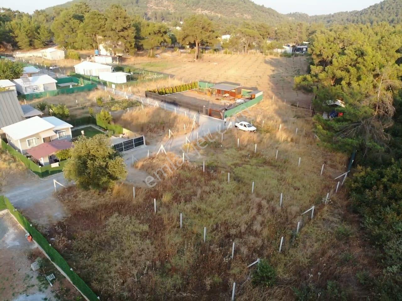 Menderes Yeniköy Yolu Üzerinde Doğa İçinde Harika Bahçe — fotoğraf 8