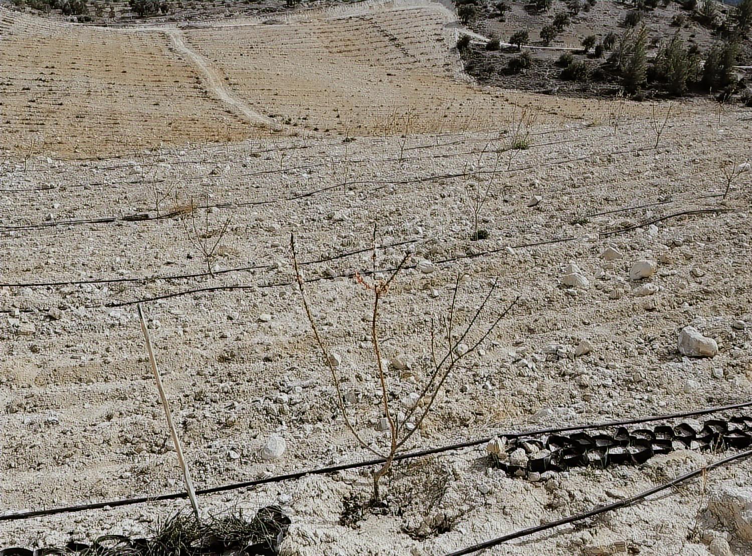 New Form'dan Mut Haydarköy Mahallesi'nde 35779 M2 Satılık Bahçe — fotoğraf 7