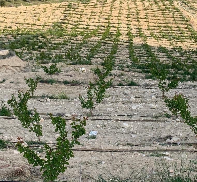 New Form'dan Mut Haydarköy Mahallesi'nde 35779 M2 Satılık Bahçe — fotoğraf 8