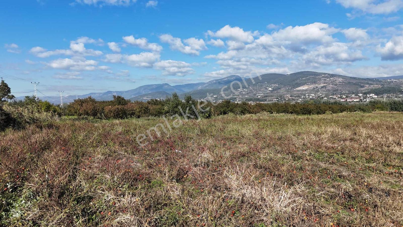 Remax Design Geyve'de 28.604 M2 Tarla — fotoğraf 7