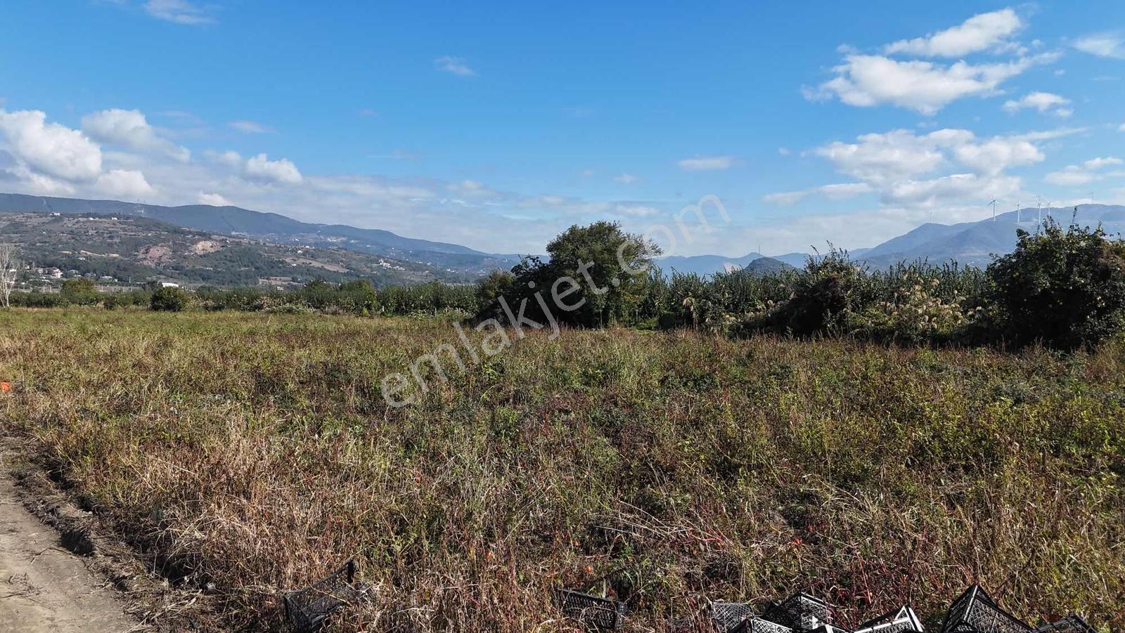 Remax Design Geyve'de 28.604 M2 Tarla — fotoğraf 8