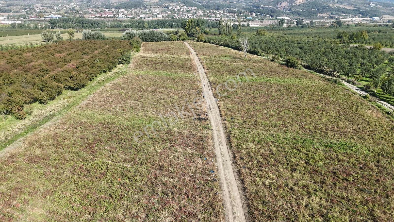 Remax Design Geyve'de 28.604 M2 Tarla — fotoğraf 12
