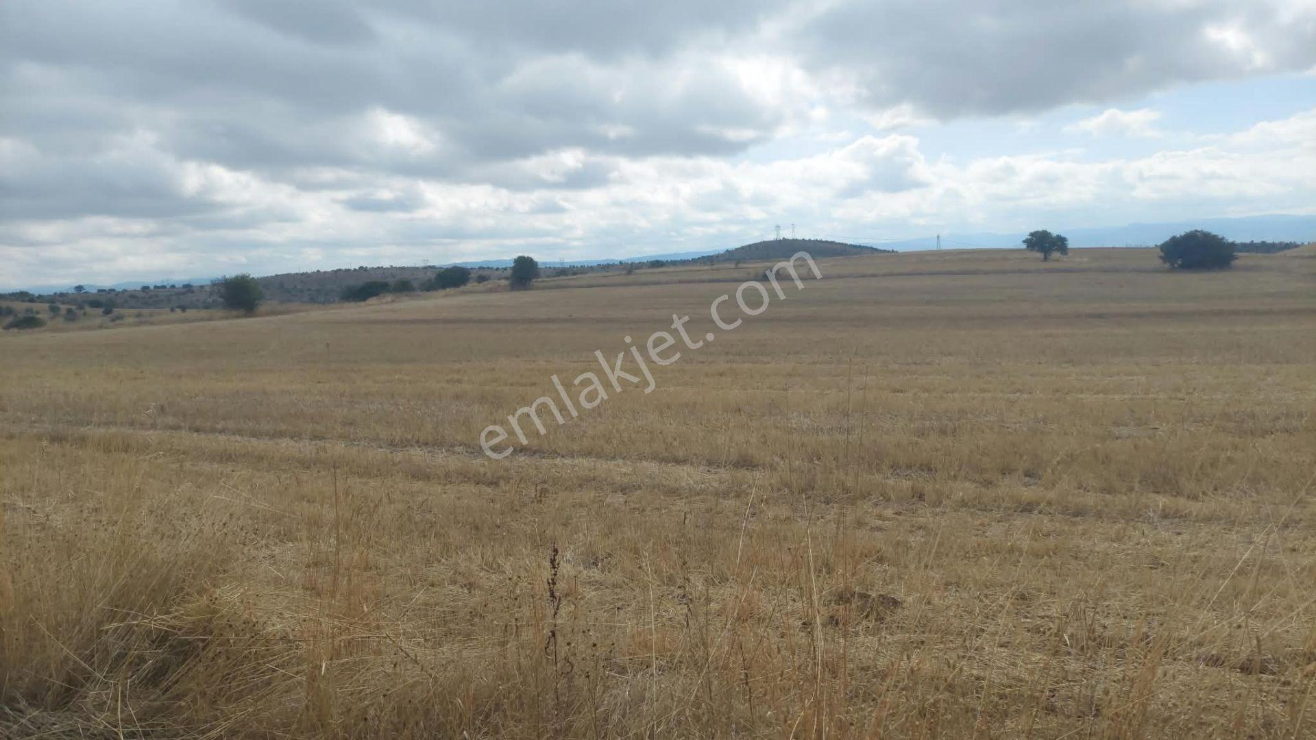 Bolu Gerede Ana Yol Cephe 34.407 M2 Akarca Mevkı Bıtısık Parsel — fotoğraf 7
