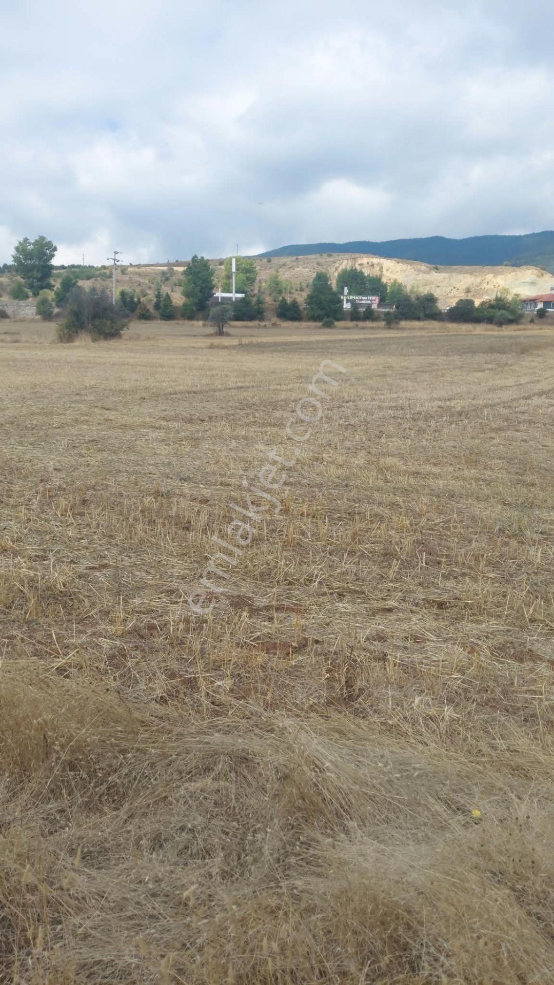 Bolu Gerede Ana Yol Cephe 34.407 M2 Akarca Mevkı Bıtısık Parsel — fotoğraf 11