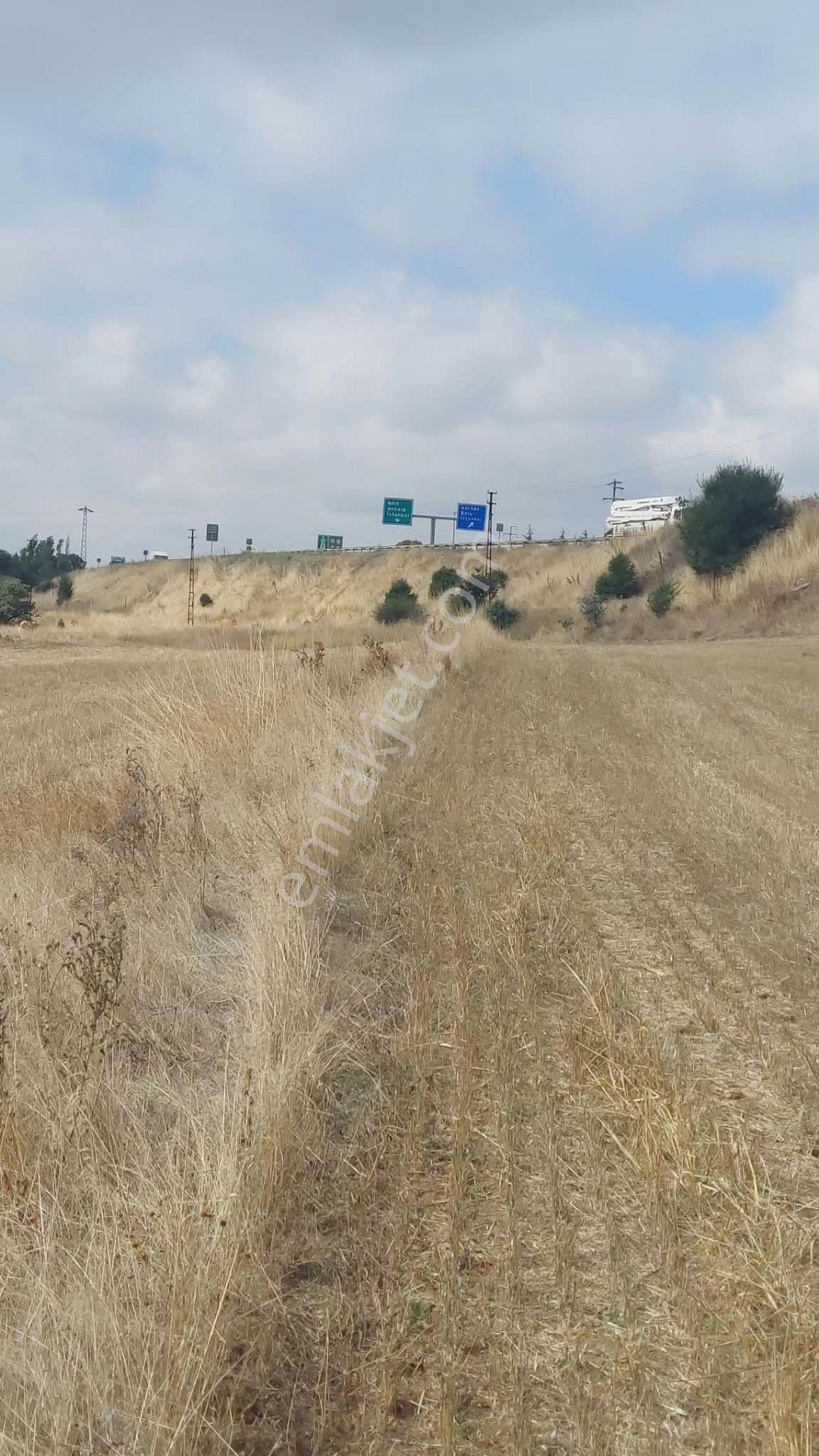 Bolu Gerede Ana Yol Cephe 34.407 M2 Akarca Mevkı Bıtısık Parsel — fotoğraf 12
