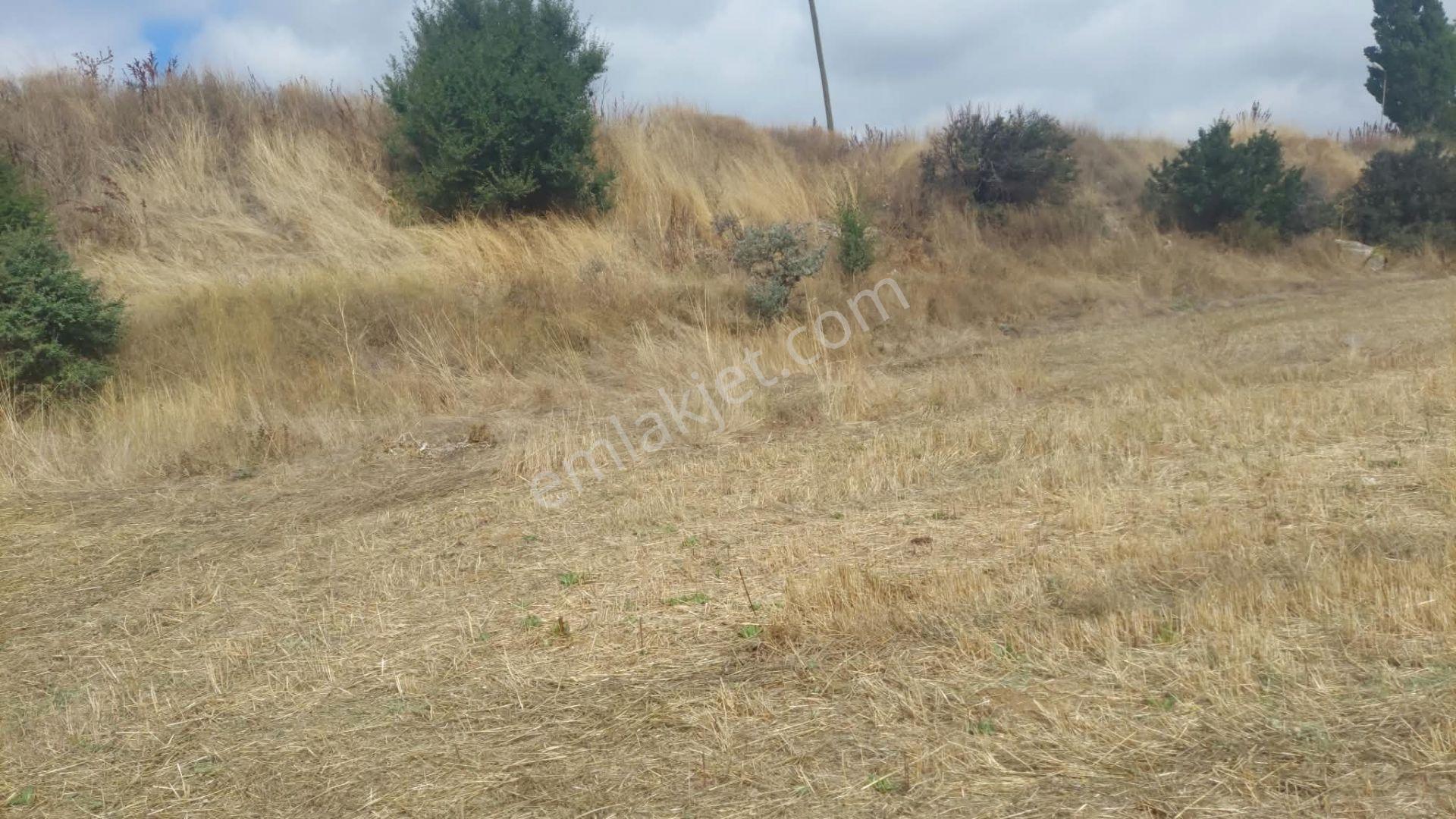 Bolu Gerede Ana Yol Cephe 34.407 M2 Akarca Mevkı Bıtısık Parsel — fotoğraf 13
