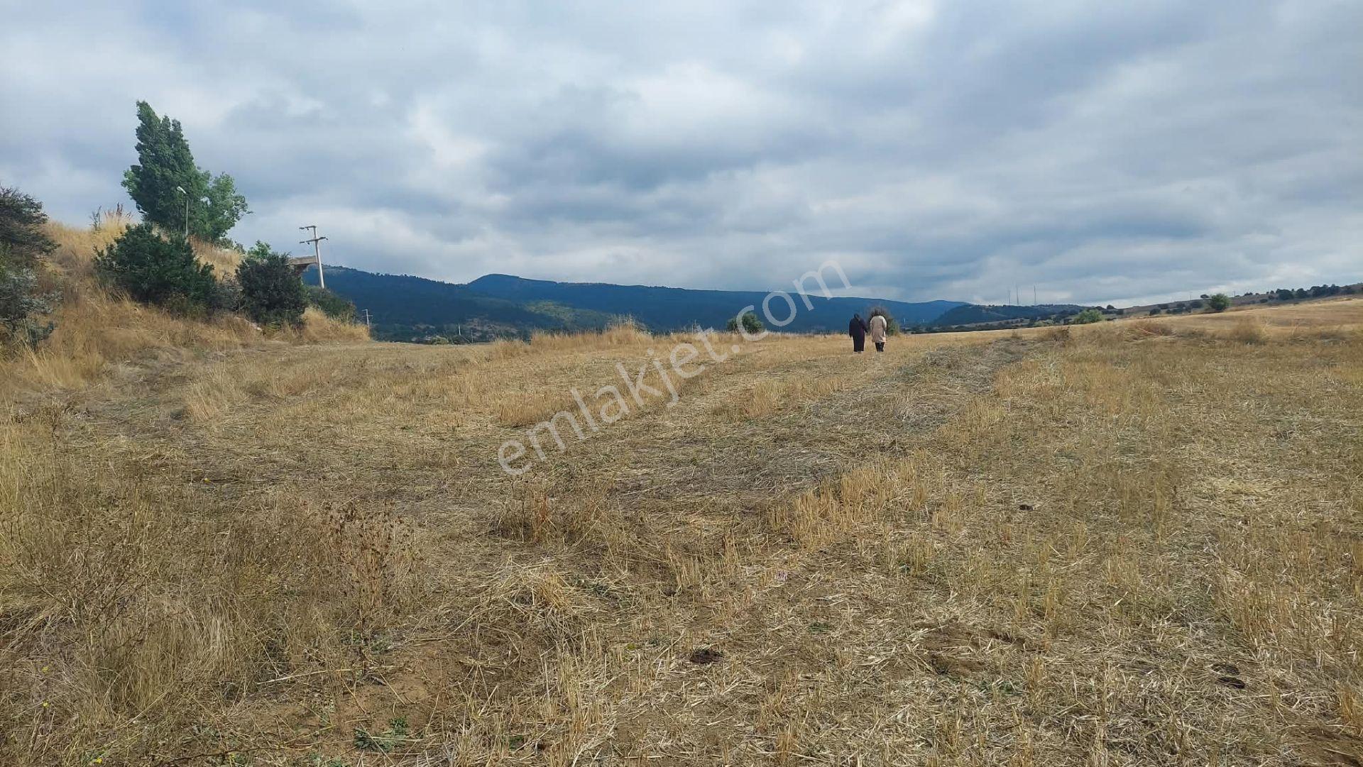 Bolu Gerede Ana Yol Cephe 34.407 M2 Akarca Mevkı Bıtısık Parsel — fotoğraf 14