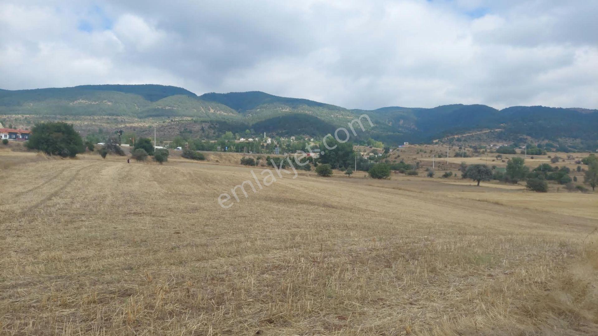 Bolu Gerede Ana Yol Cephe 34.407 M2 Akarca Mevkı Bıtısık Parsel — fotoğraf 15