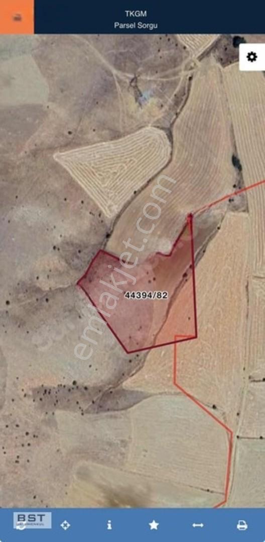 Selçuklu Dağderede 2203 M2 Hisseli Tarla