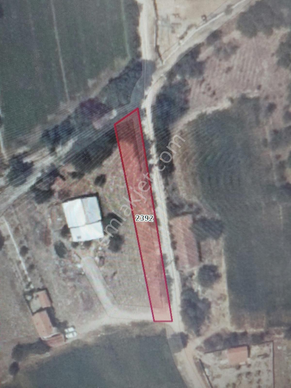 Salar Sülün Arası Merkezi Yola Yakın Bahçe