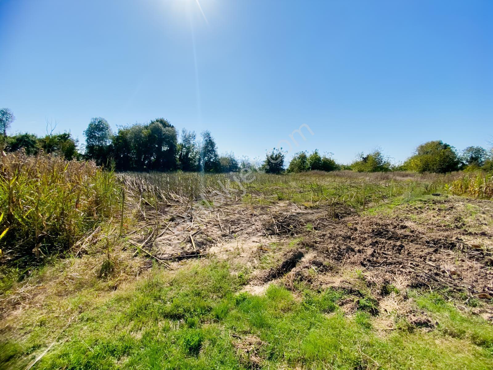 Budaklar Merkeze 3 Dk | Ulaşımı Kolay 692 M² Satılık Tarla — fotoğraf 4