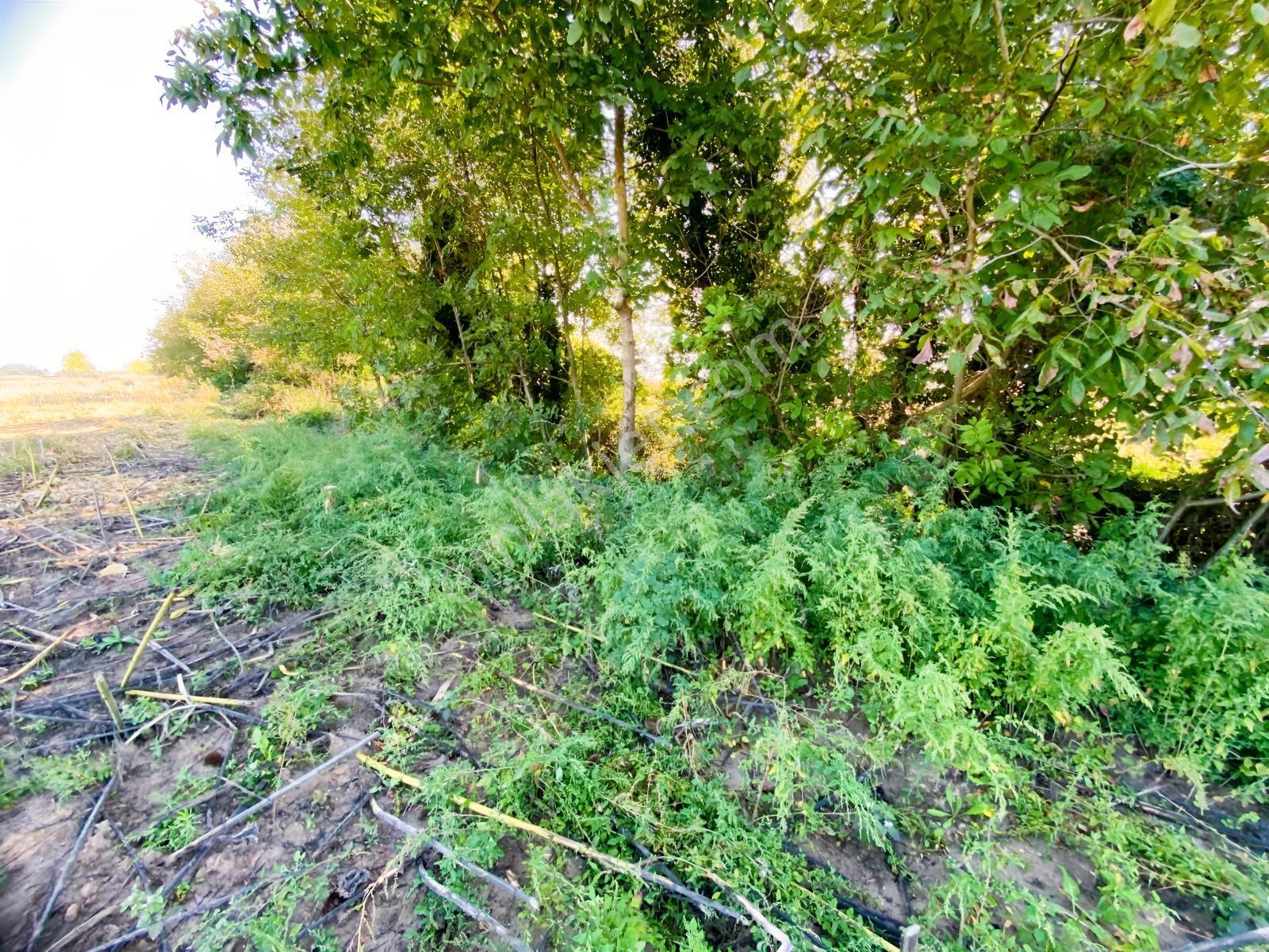 Budaklar Merkeze 3 Dk | Ulaşımı Kolay 692 M² Satılık Tarla — fotoğraf 6