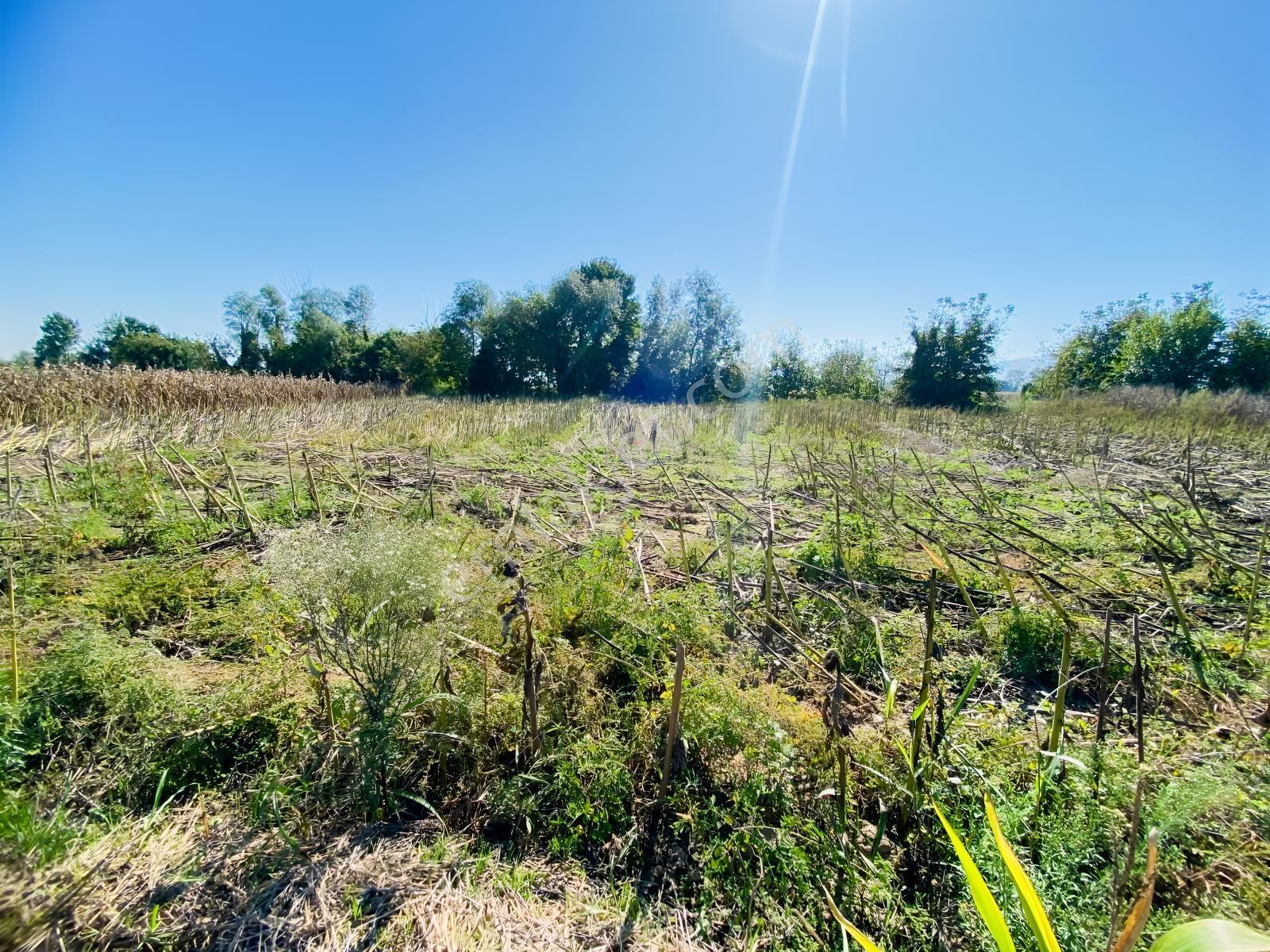 Budaklar Merkeze 3 Dk | Ulaşımı Kolay 692 M² Satılık Tarla — fotoğraf 9