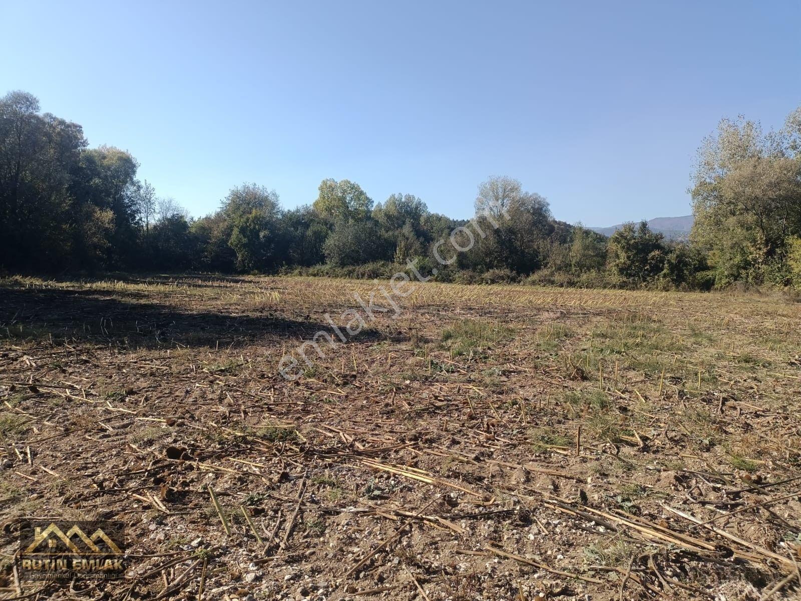 Bolu Merkez (çatakören Köyü) Satılık (1172m2) Tarla — fotoğraf 2