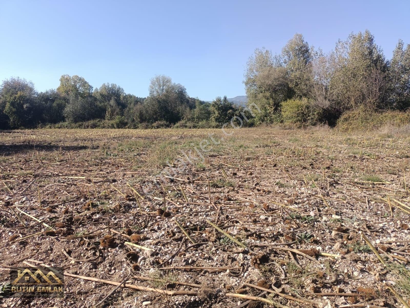 Bolu Merkez (çatakören Köyü) Satılık (1172m2) Tarla — fotoğraf 3