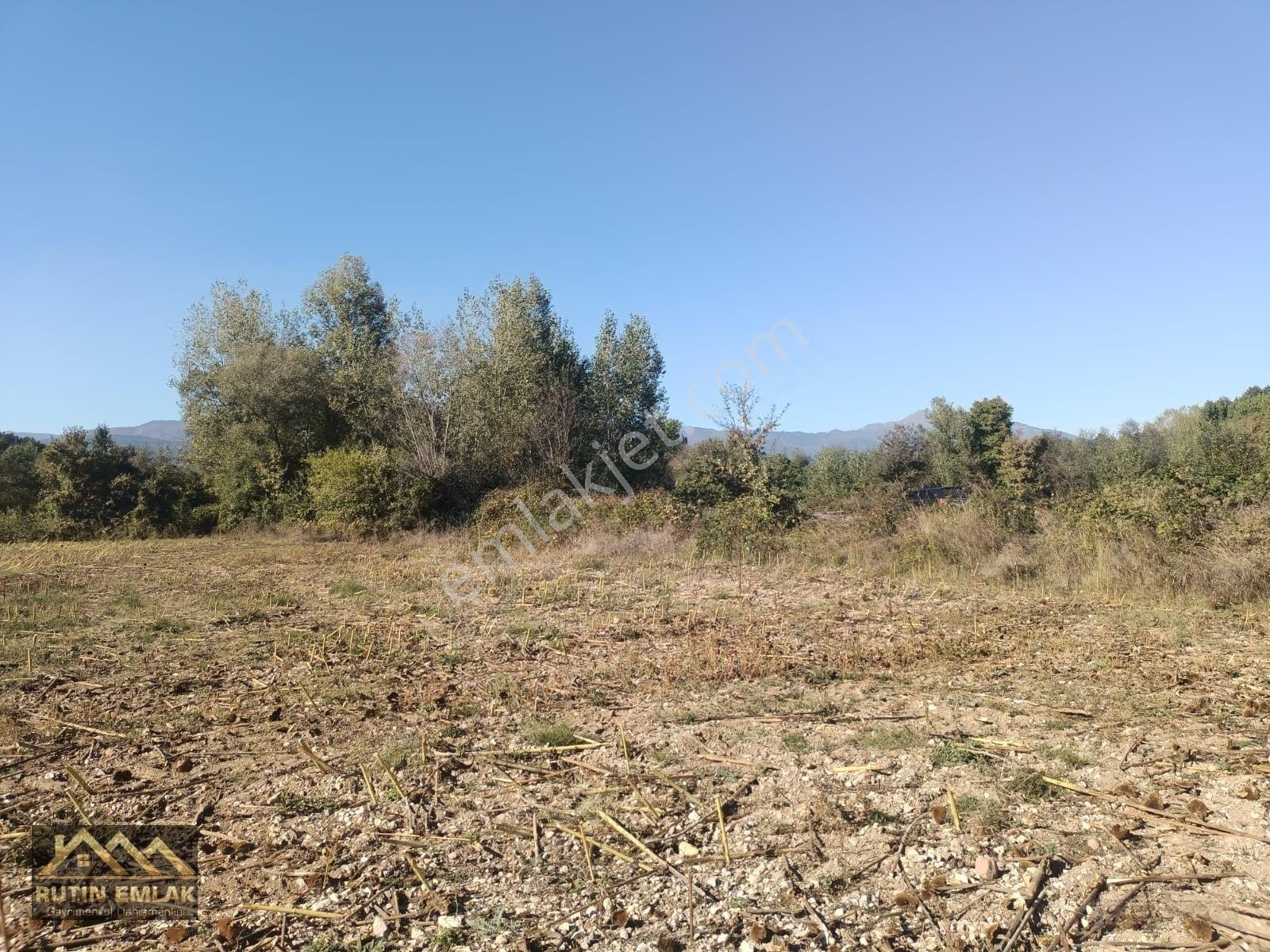 Bolu Merkez (çatakören Köyü) Satılık (1172m2) Tarla — fotoğraf 6