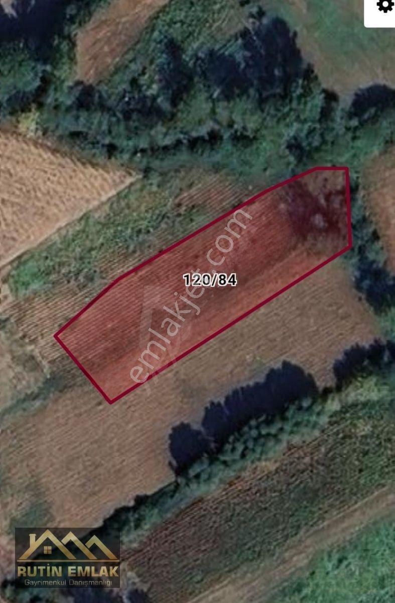 Bolu Merkez (çatakören Köyü) Satılık (1172m2) Tarla — fotoğraf 7