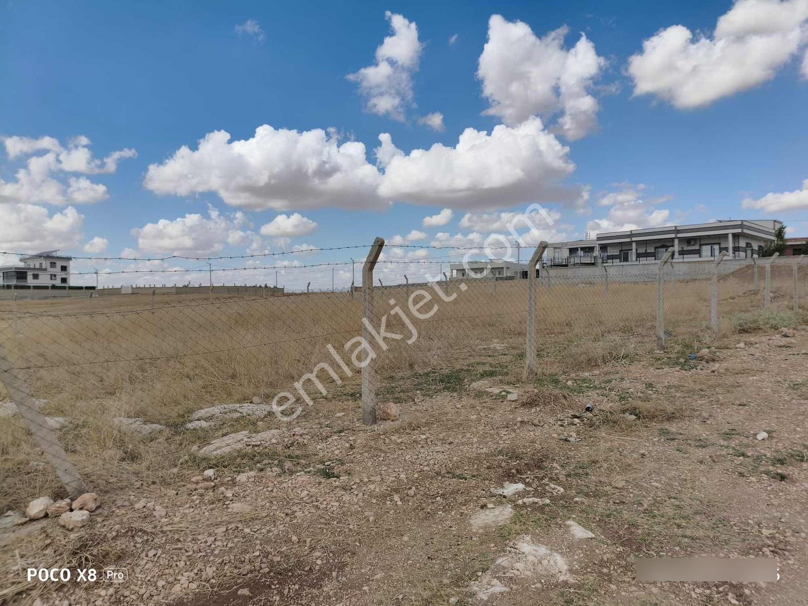Acar Emlaktan Çatalözü Mah. Etrafı Telle Örgülü 1000 M2 Arsa — fotoğraf 2