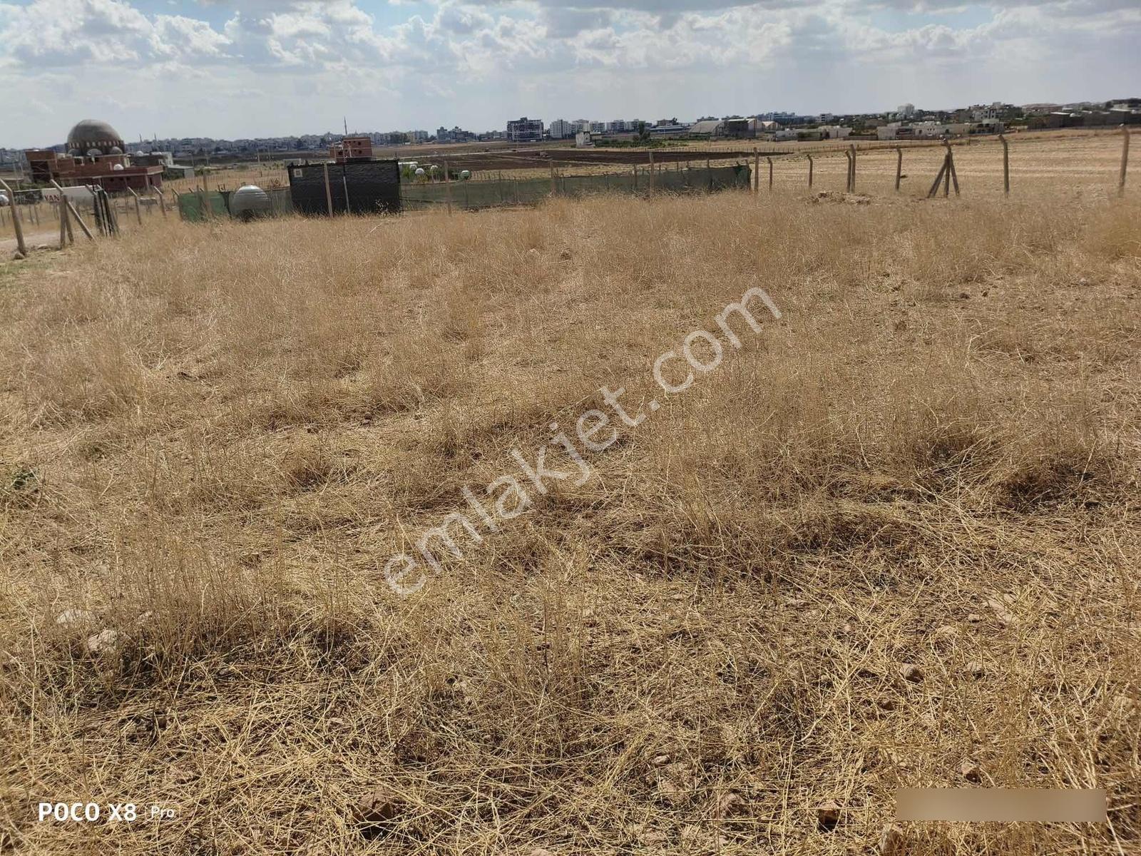 Acar Emlaktan Çatalözü Mah. Etrafı Telle Örgülü 1000 M2 Arsa — fotoğraf 4