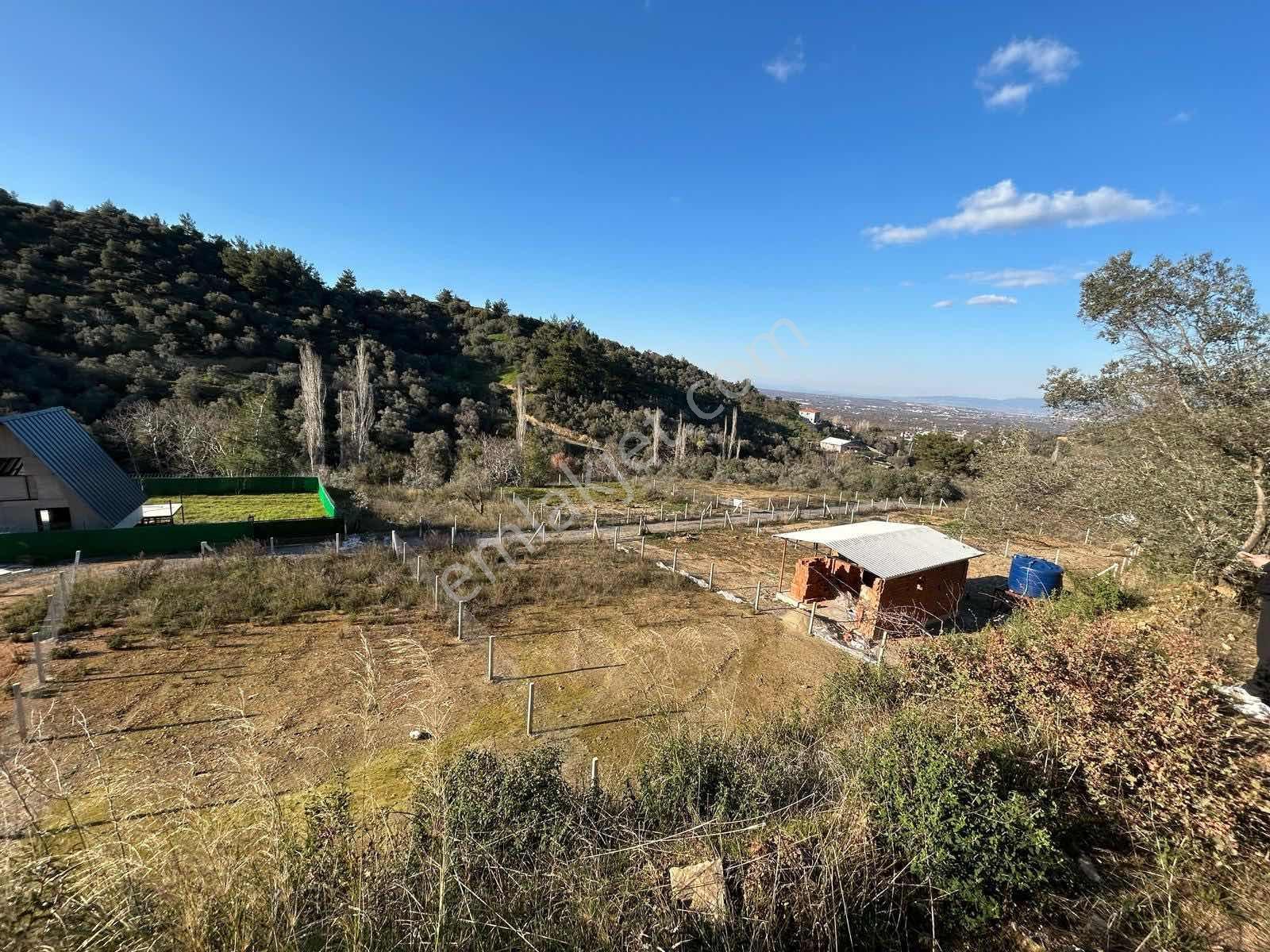 Kemalpaşa Armutlu Hürriyet Mahallesinde Satılık Bahçe — fotoğraf 12