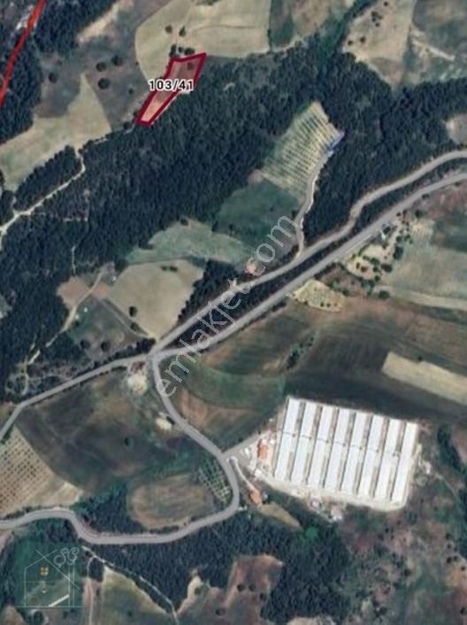 Aciilll. Sakarya Geyve Poydularda Satılık Harika Tarla — fotoğraf 2