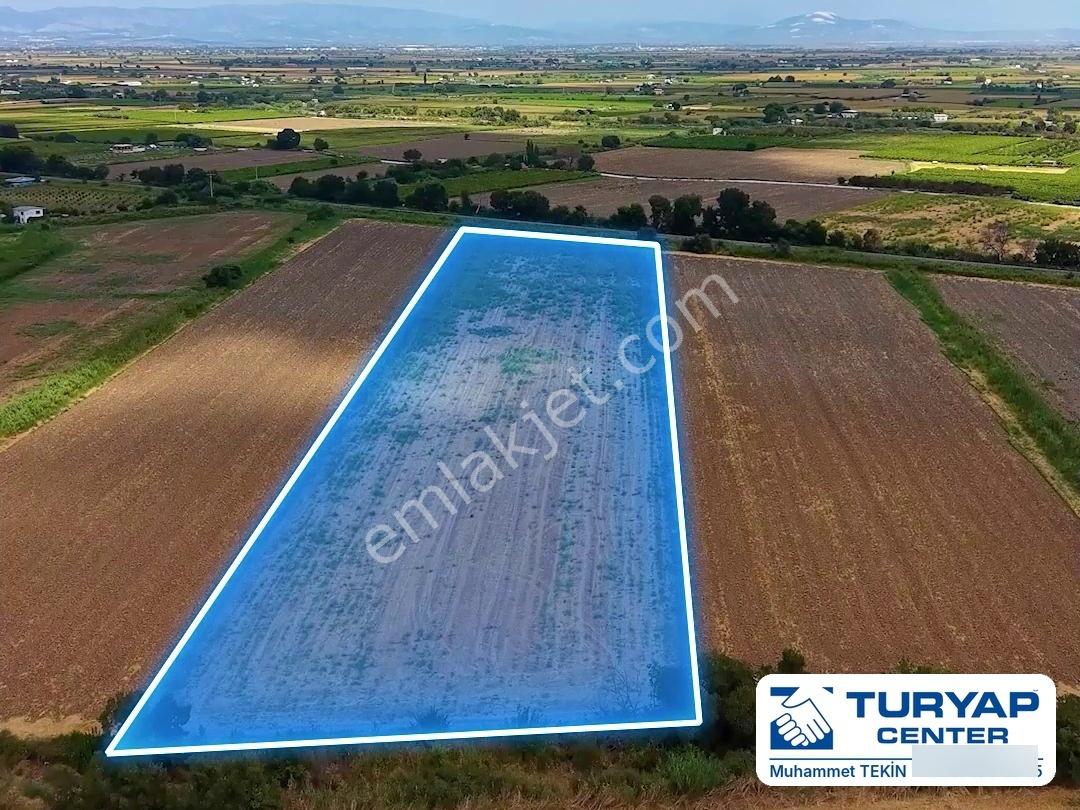 Manisa Şehzadeler Satılık Yatırımlık Tarla Turgutlu Yoluna Yakın — fotoğraf 3