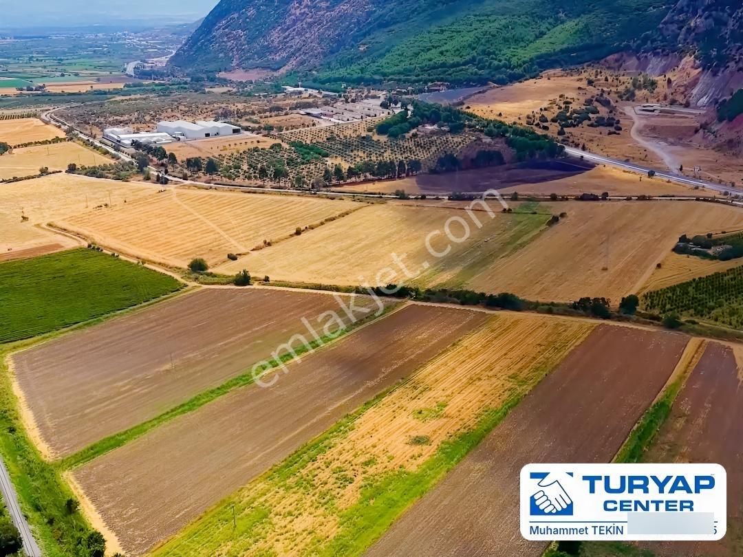 Manisa Şehzadeler Satılık Yatırımlık Tarla Turgutlu Yoluna Yakın — fotoğraf 4