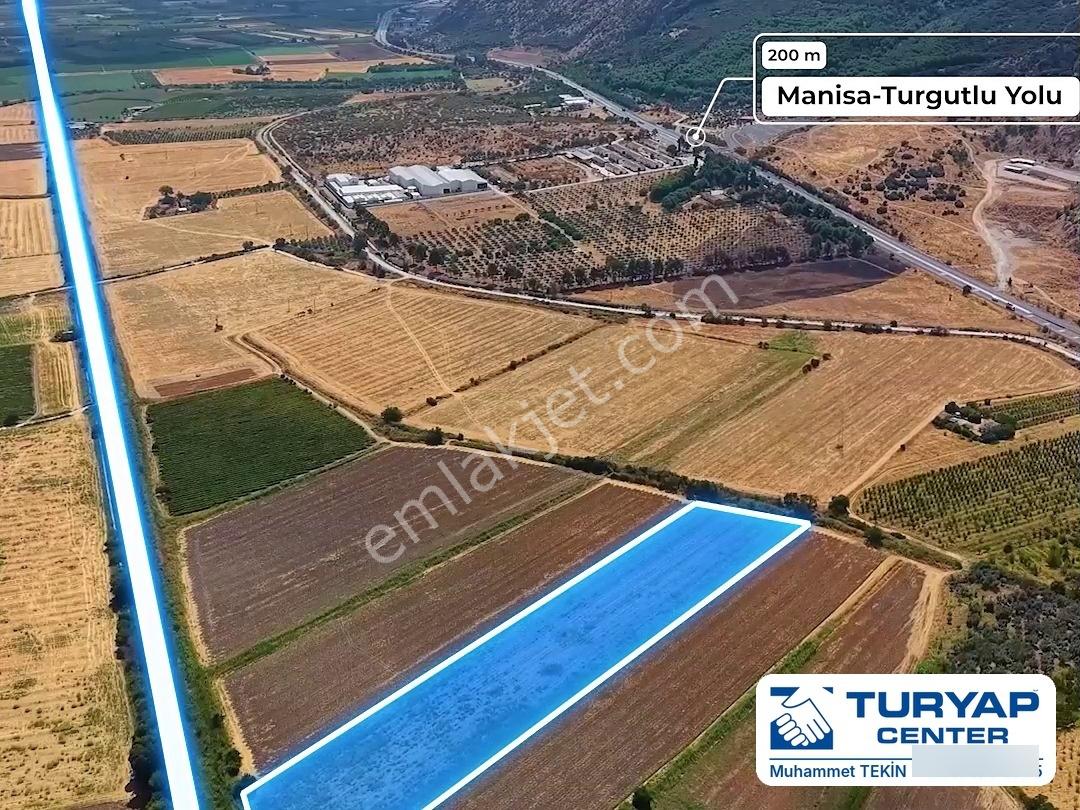Manisa Şehzadeler Satılık Yatırımlık Tarla Turgutlu Yoluna Yakın — fotoğraf 7