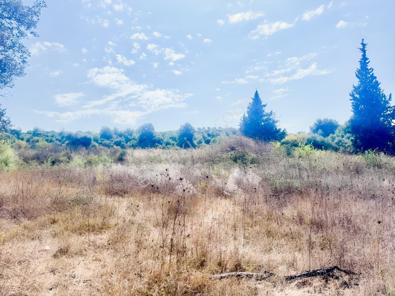 Views Emlaktan Yol Üzeri Satılık 2 Müstakil Villalık Arsa — fotoğraf 3