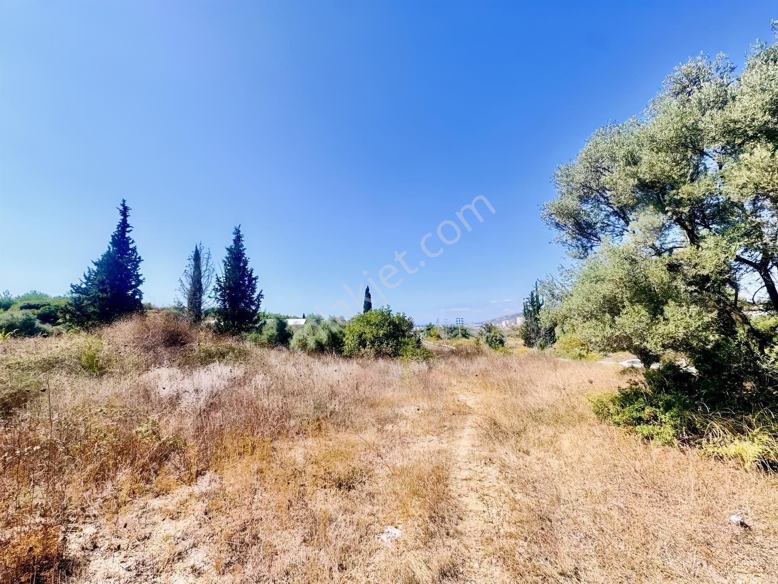 Views Emlaktan Yol Üzeri Satılık 2 Müstakil Villalık Arsa — fotoğraf 4