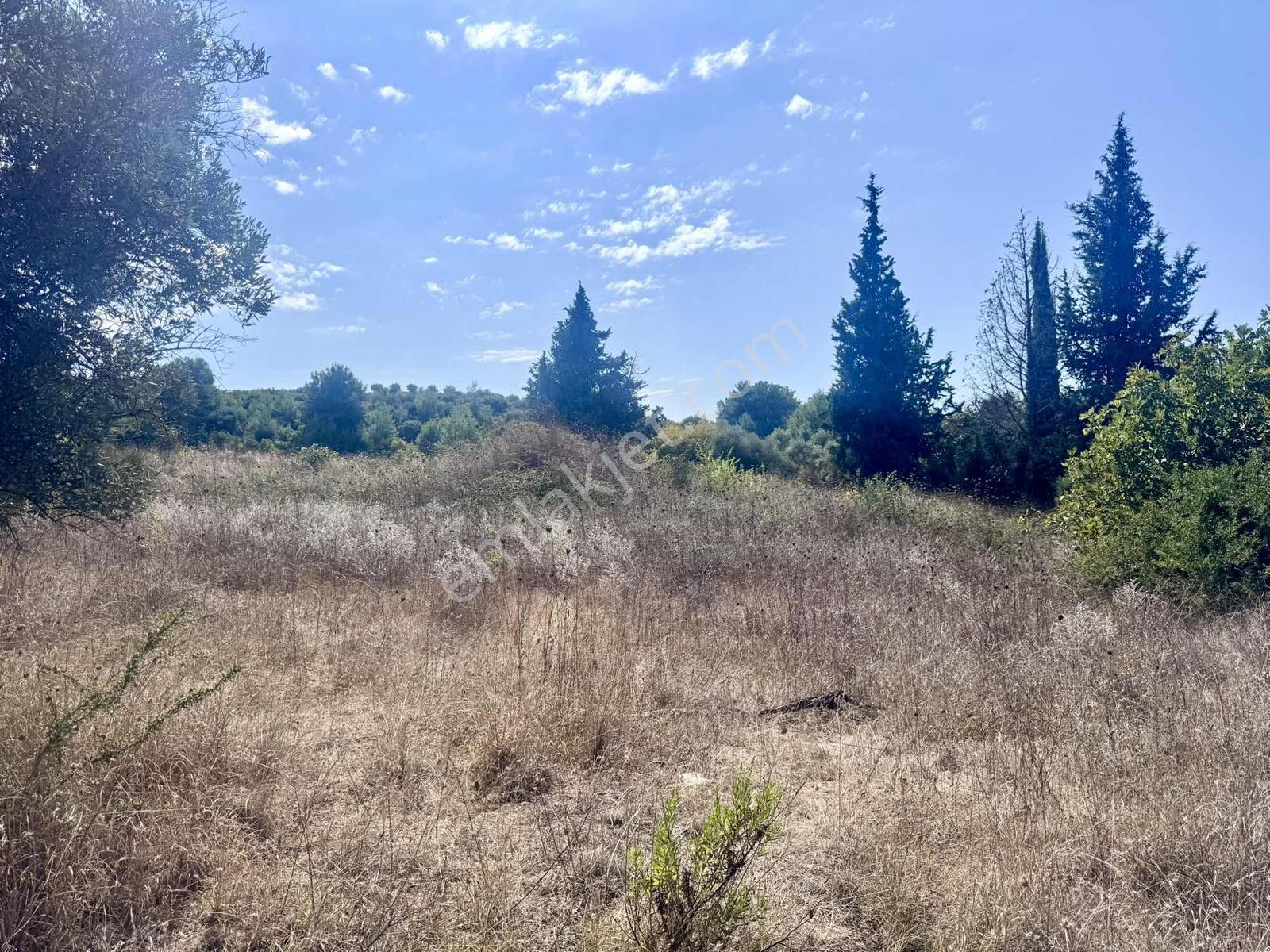 Views Emlaktan Yol Üzeri Satılık 2 Müstakil Villalık Arsa — fotoğraf 8