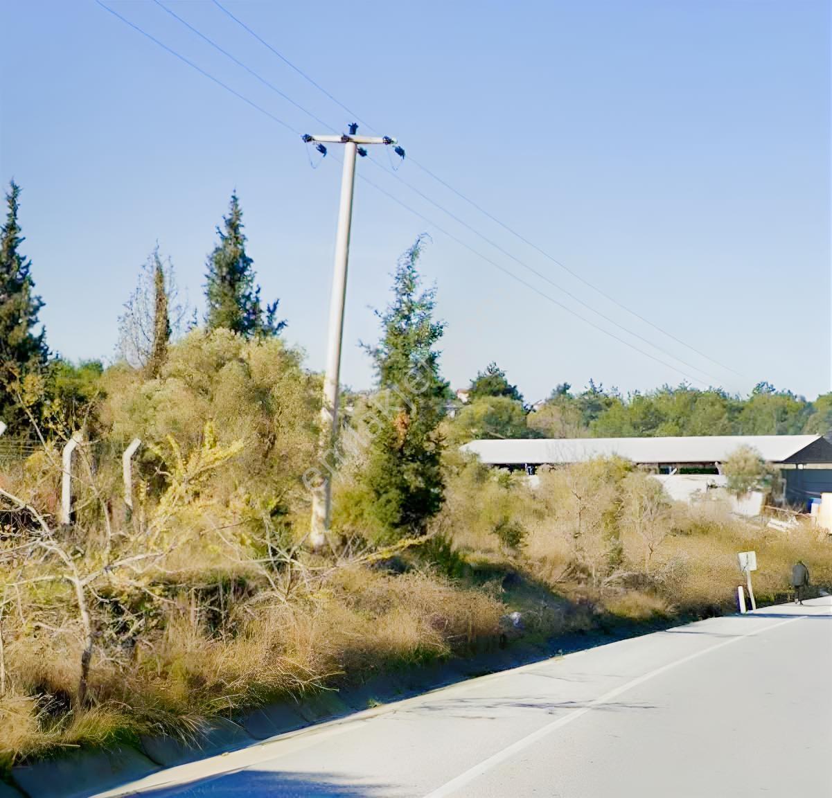 Views Emlaktan Yol Üzeri Satılık 2 Müstakil Villalık Arsa — fotoğraf 10