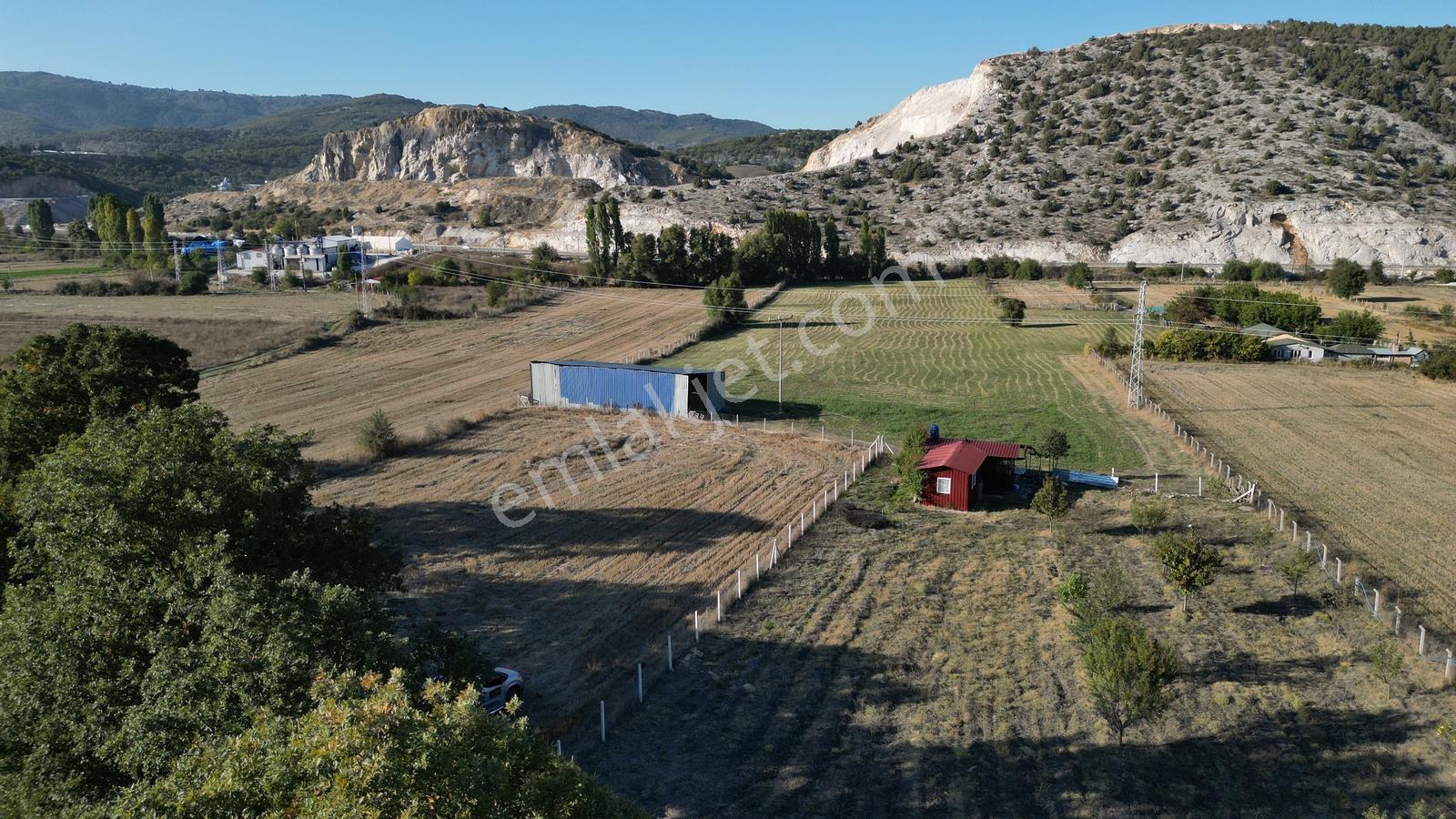 Bozüyük Kızılcapınarda 2.110 M² Satılık Bahçe & Prefabrik Ev — fotoğraf 7